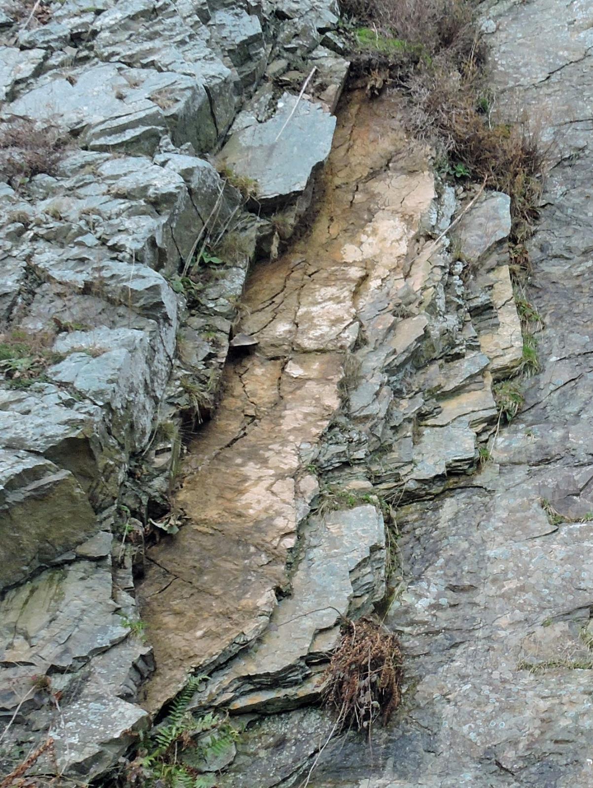 HYDROTHERMAL DEPOSIT CLYWEDOG Bills Publications